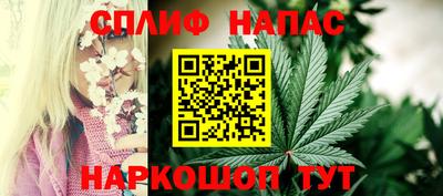 крисы Чебоксары